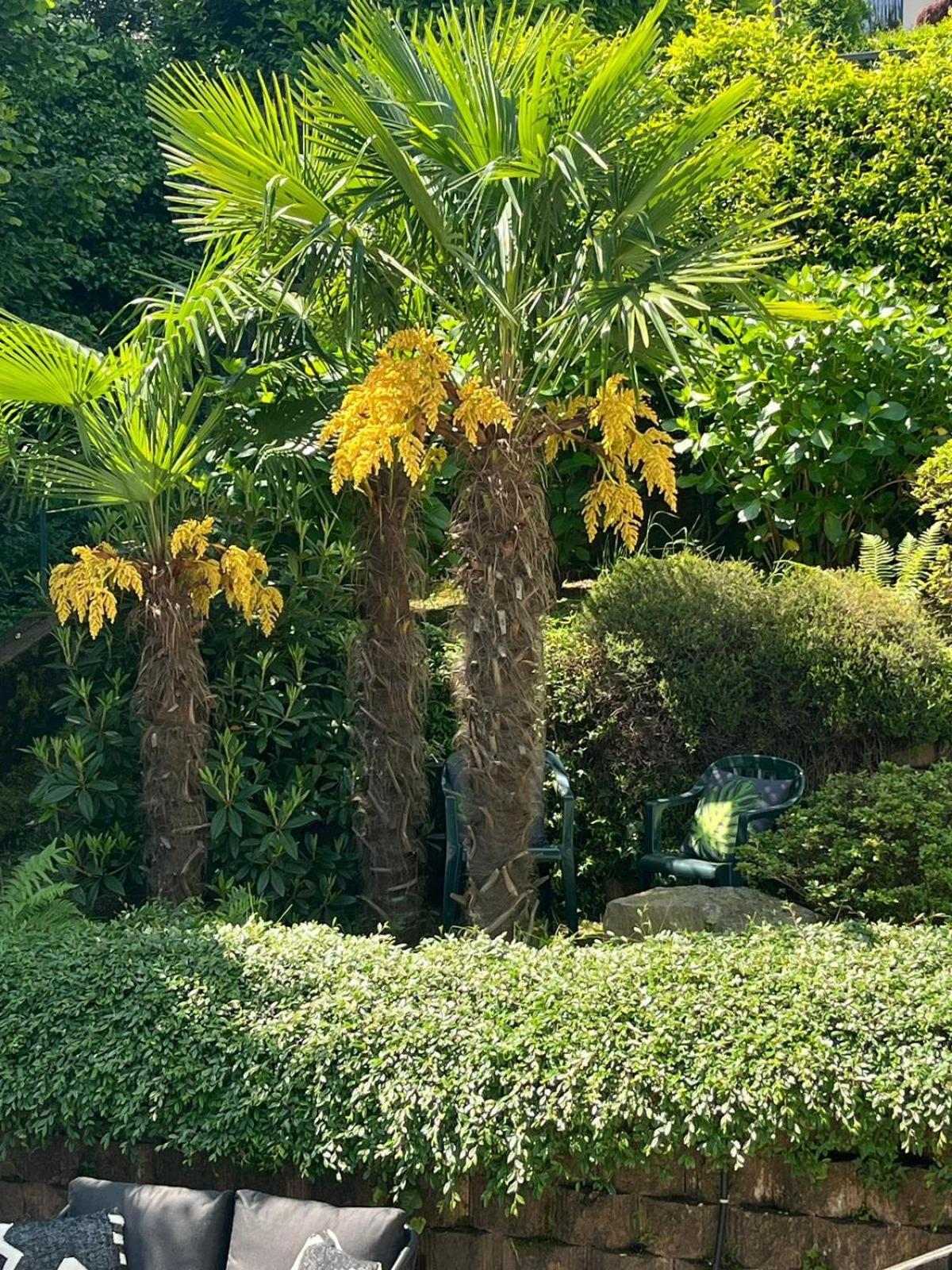 Miralago ストレーザ エクステリア 写真